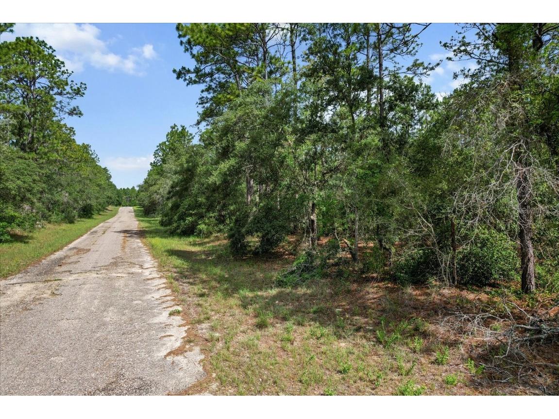 3621 W Norwick Place Citrus Springs FL 34433 OM693707 image5