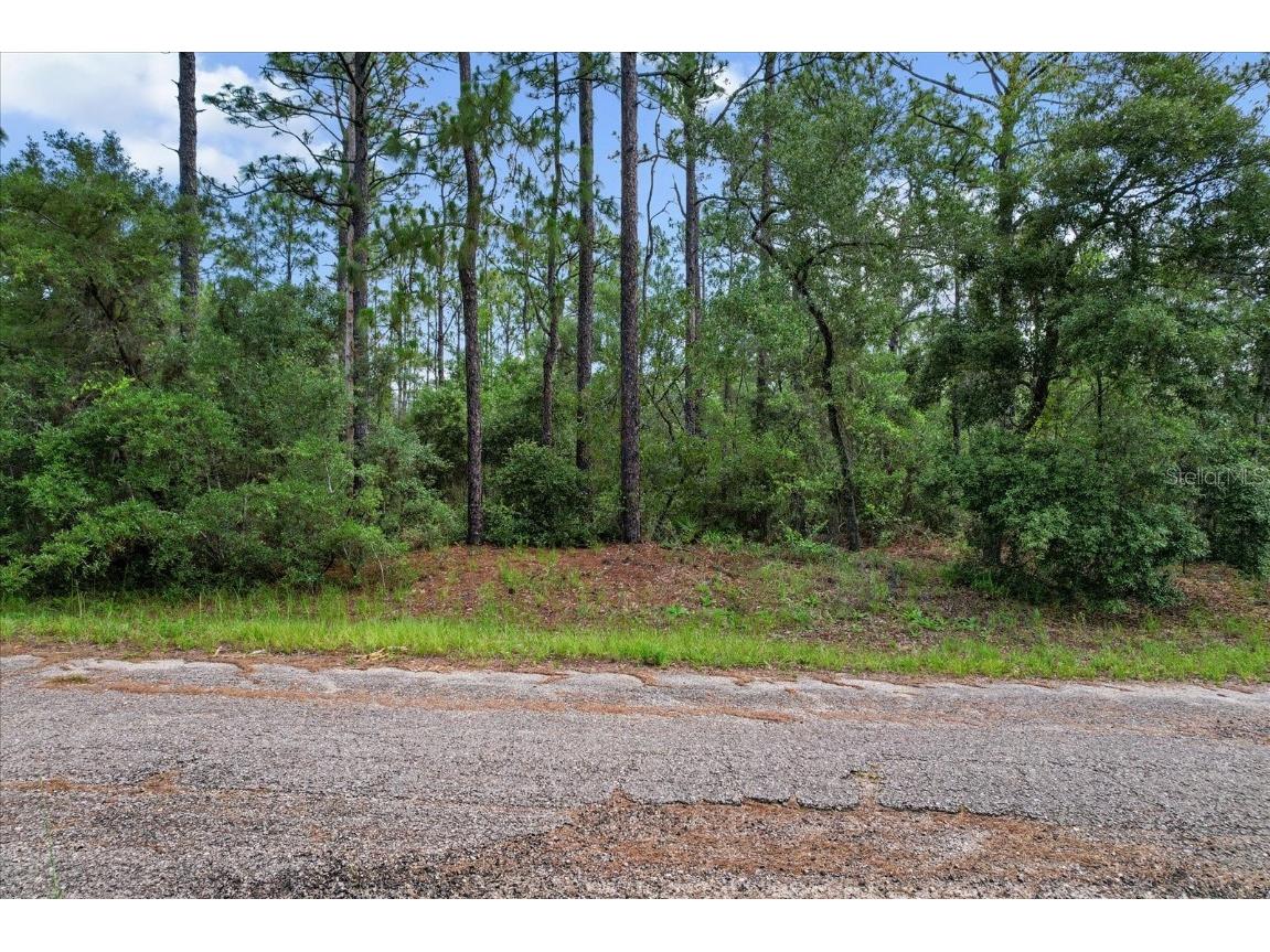 3621 W Norwick Place Citrus Springs FL 34433 OM693707 image6