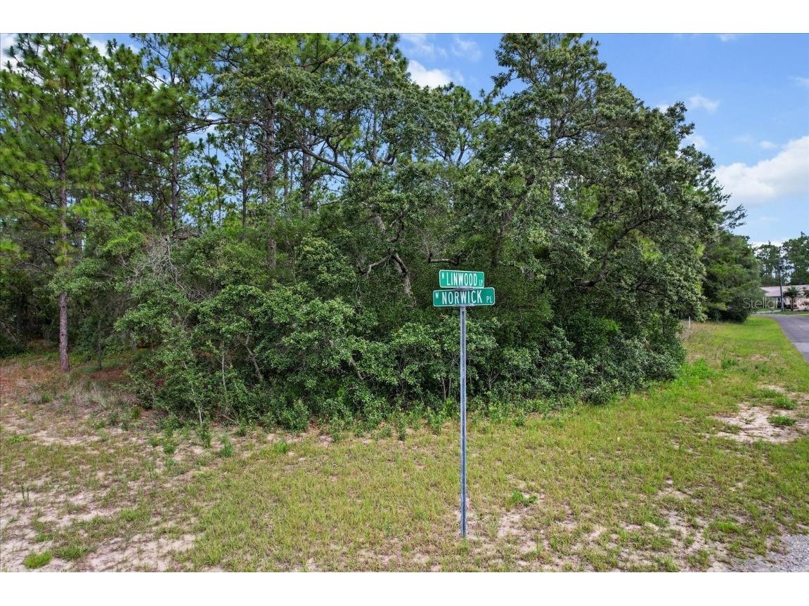 3621 W Norwick Place Citrus Springs FL 34433 OM693707 image7