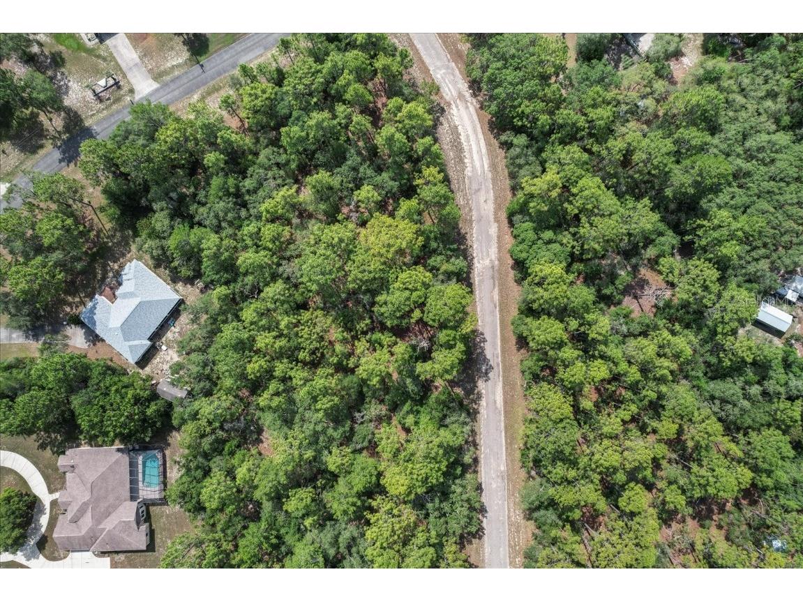 3621 W Norwick Place Citrus Springs FL 34433 OM693707 image8