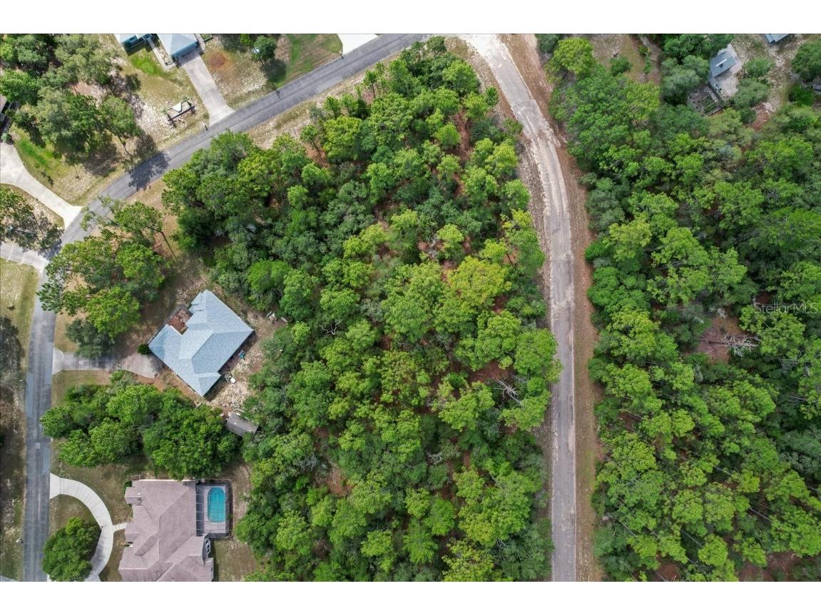 3621 W Norwick Place Citrus Springs FL 34433 OM693707 image9