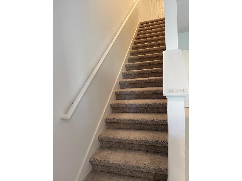 36217 Risa Michele Street Zephyrhills FL 33541 TB8448902 image13