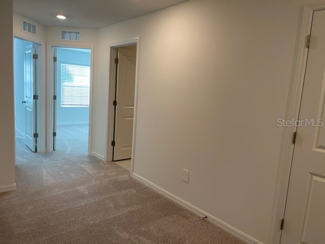 36217 Risa Michele Street Zephyrhills FL 33541 TB8448902 image14