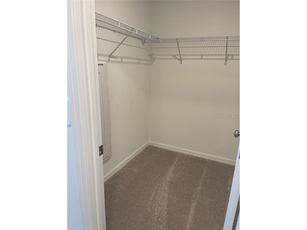 36217 Risa Michele Street Zephyrhills FL 33541 TB8448902 image22