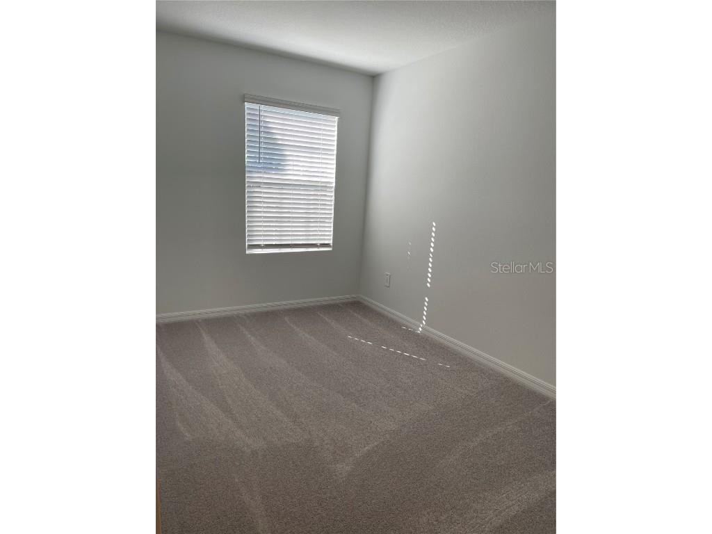 36217 Risa Michele Street Zephyrhills FL 33541 TB8448902 image23