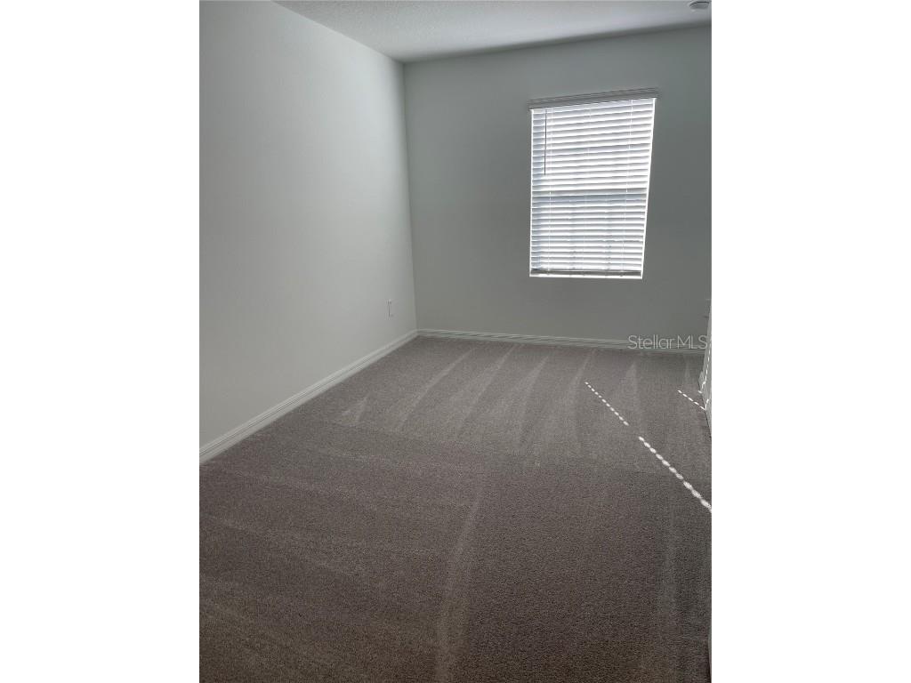 36217 Risa Michele Street Zephyrhills FL 33541 TB8448902 image24