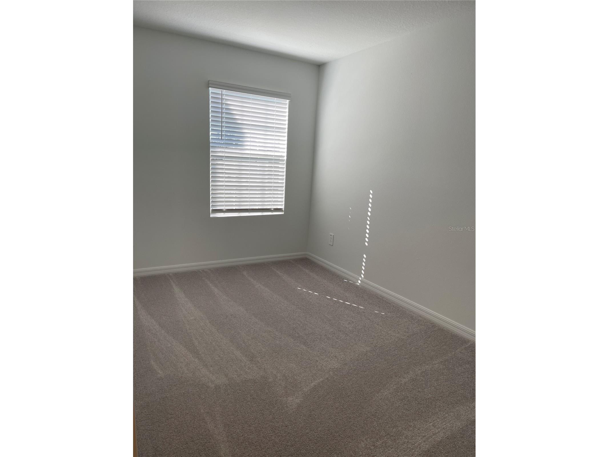 36217 Risa Michele Street Zephyrhills FL 33541 TB8508458 image23