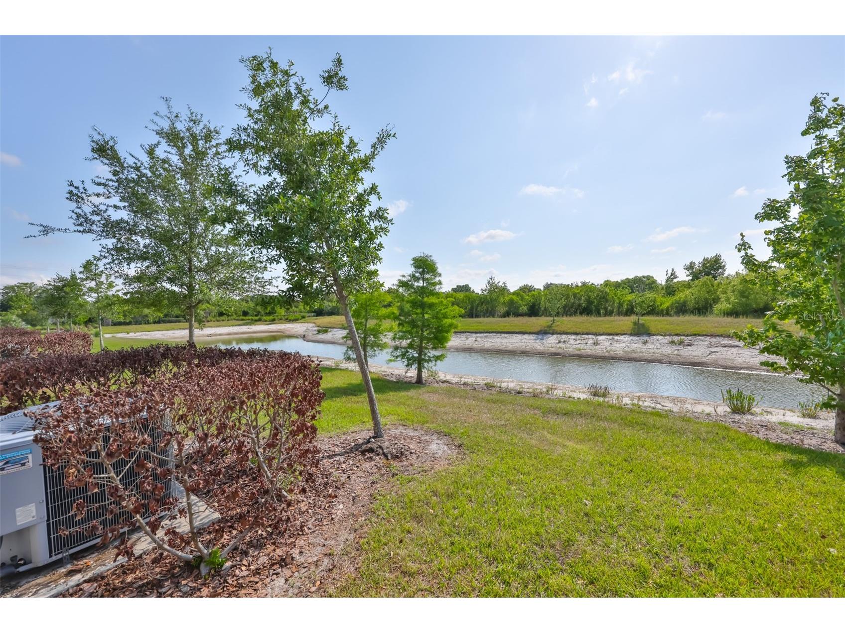 3622 Bellmead Wesley Chapel FL 33543 TB8495257 image13