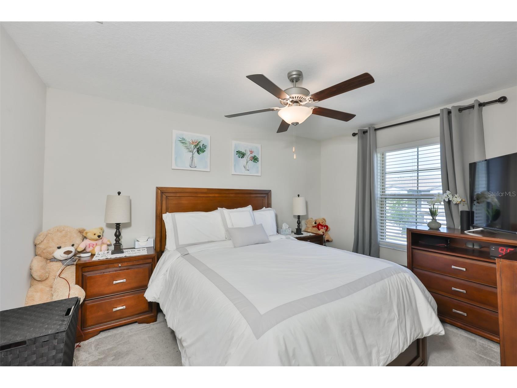 3622 Bellmead Wesley Chapel FL 33543 TB8495257 image15