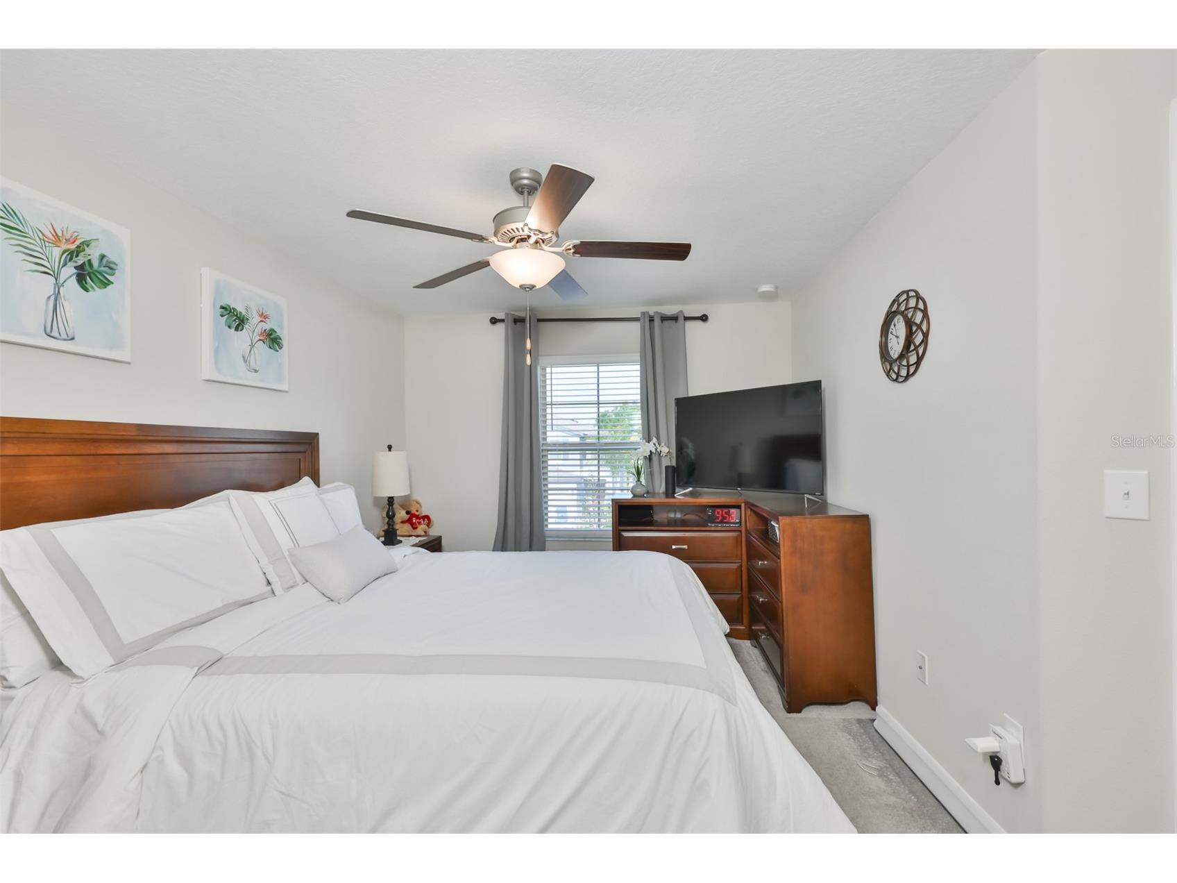 3622 Bellmead Wesley Chapel FL 33543 TB8495257 image16