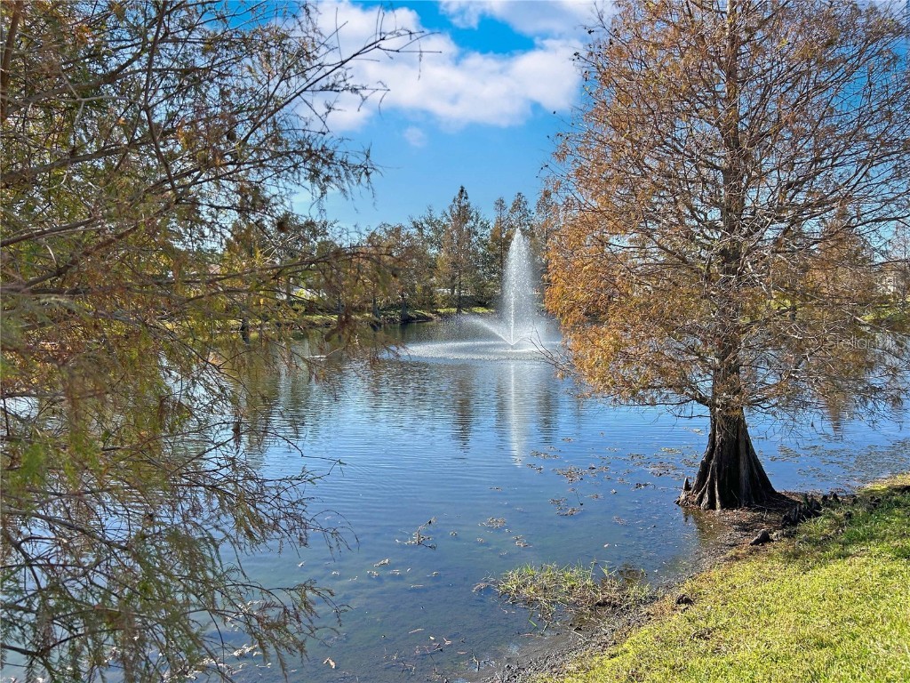 3622 Plymouth Drive Winter Haven FL 33884 L4957953 image59