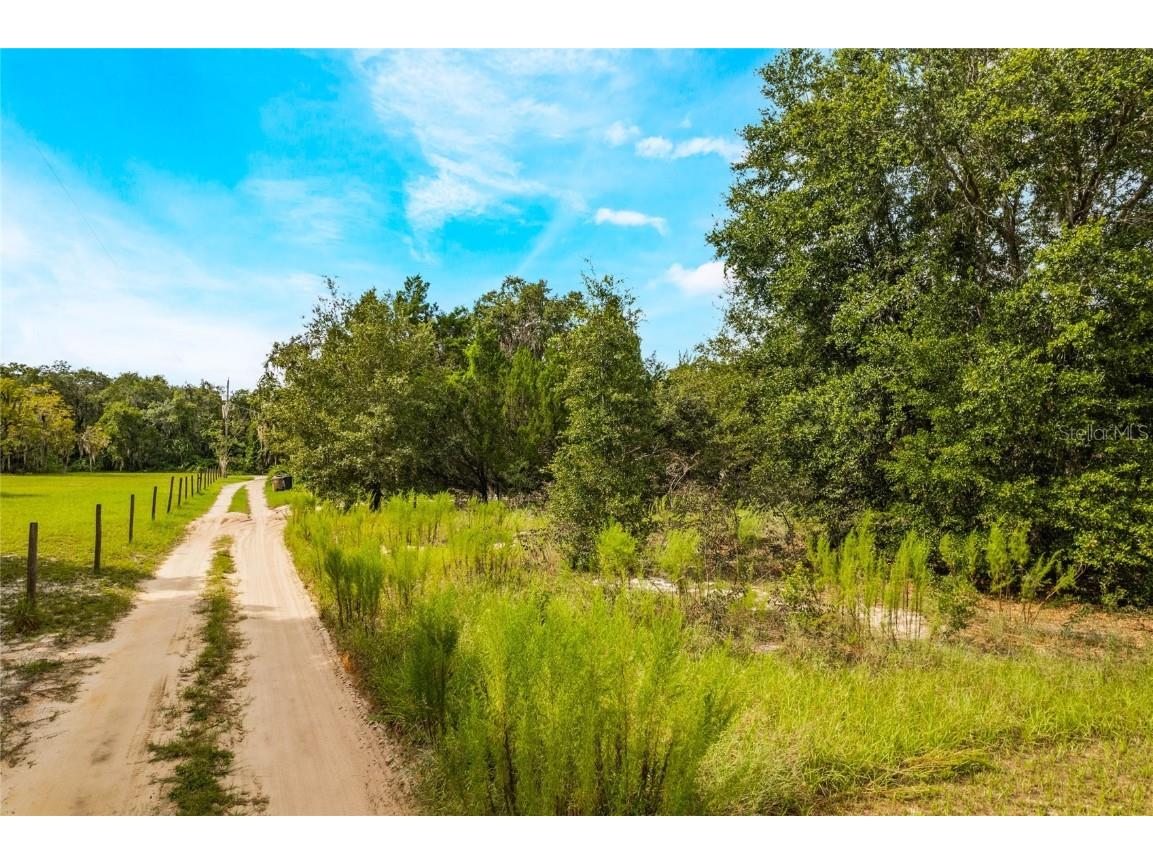 36221 Apiary Road Grand Island FL 32735 O6141379 image1