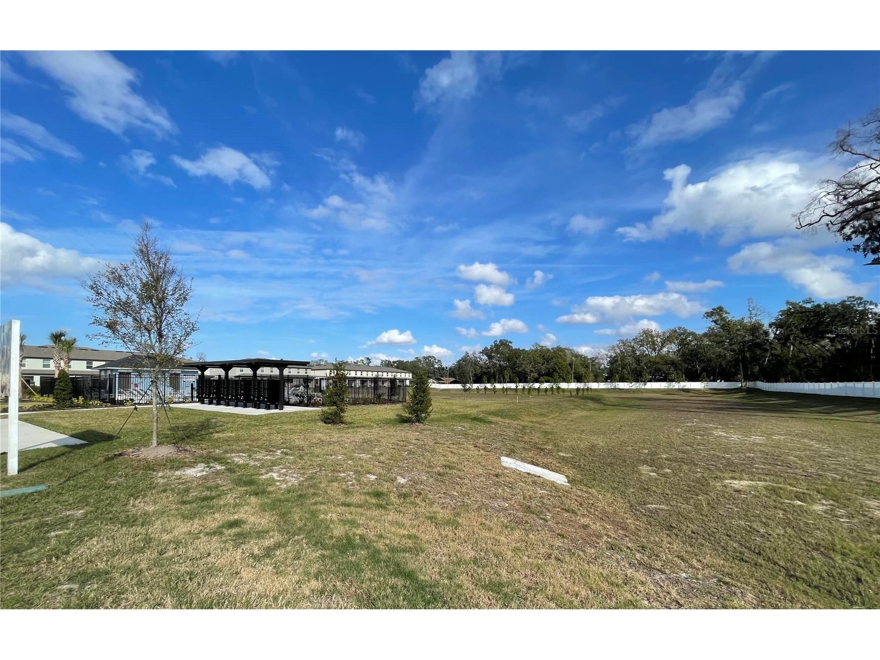 36221 Risa Michele Street Zephyrhills FL 33541 O6374992 image2