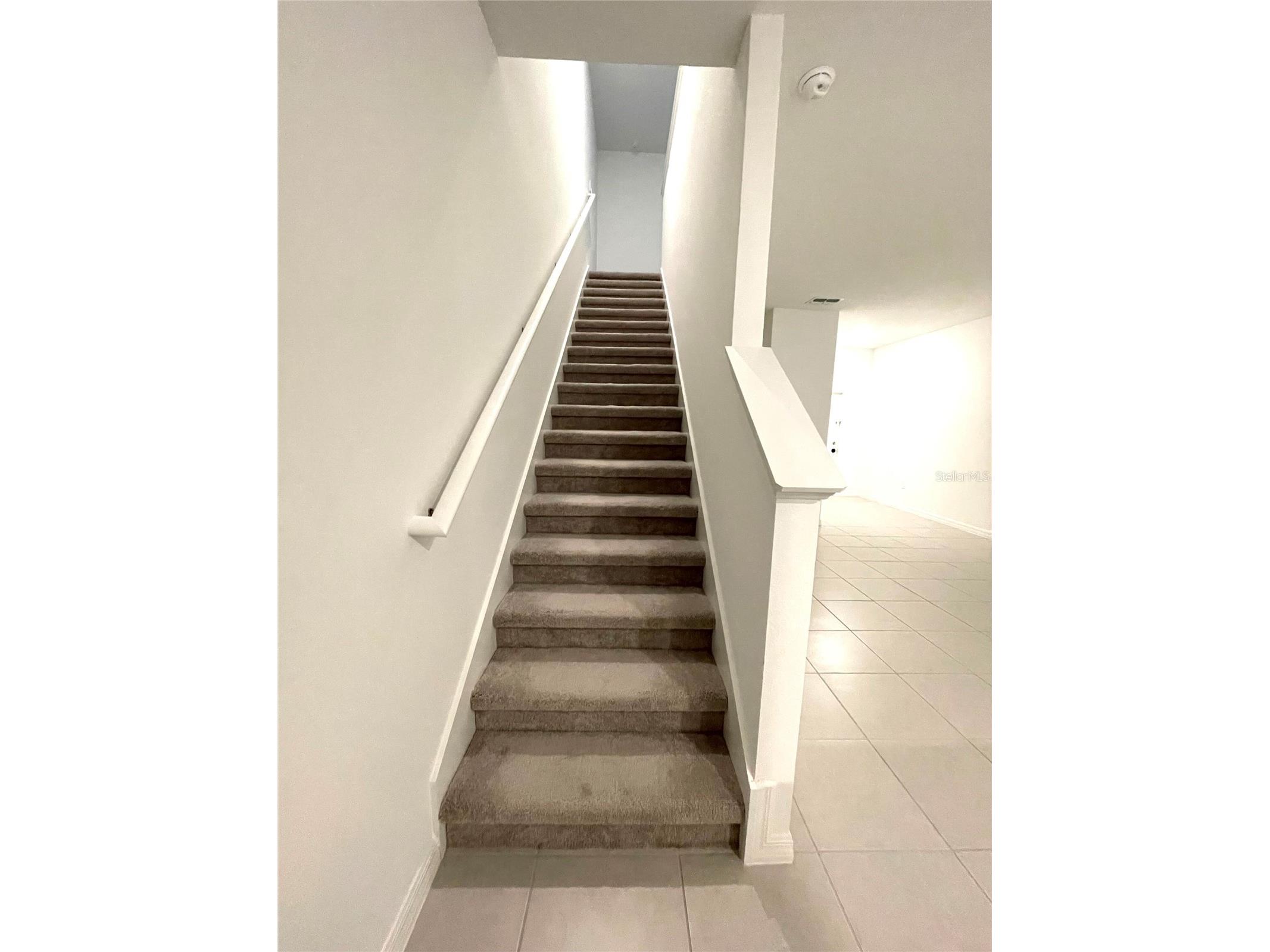 36221 Risa Michele Street Zephyrhills FL 33541 O6374992 image7