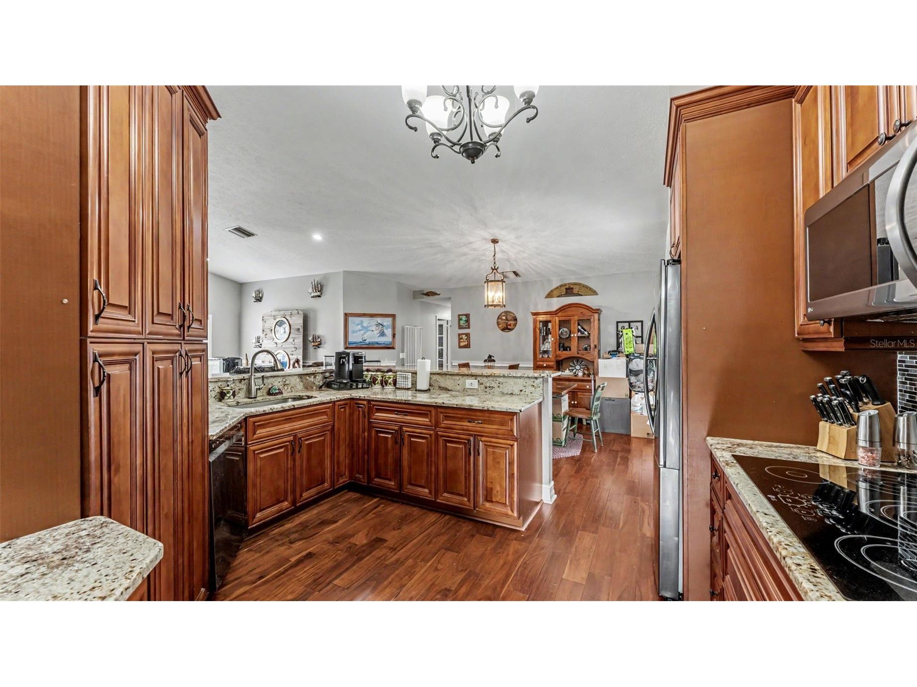 36225 Oak Knoll Loop Dade City FL 33525 L4962272 image6