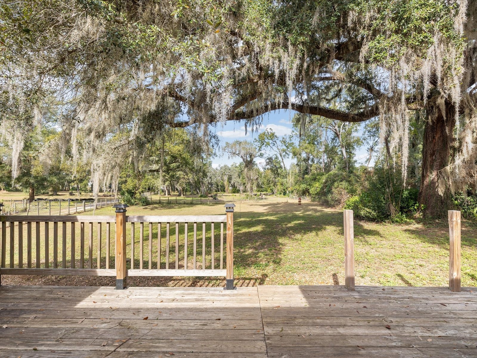36228 Clinton Avenue Dade City FL 33525 TB8468434 image32