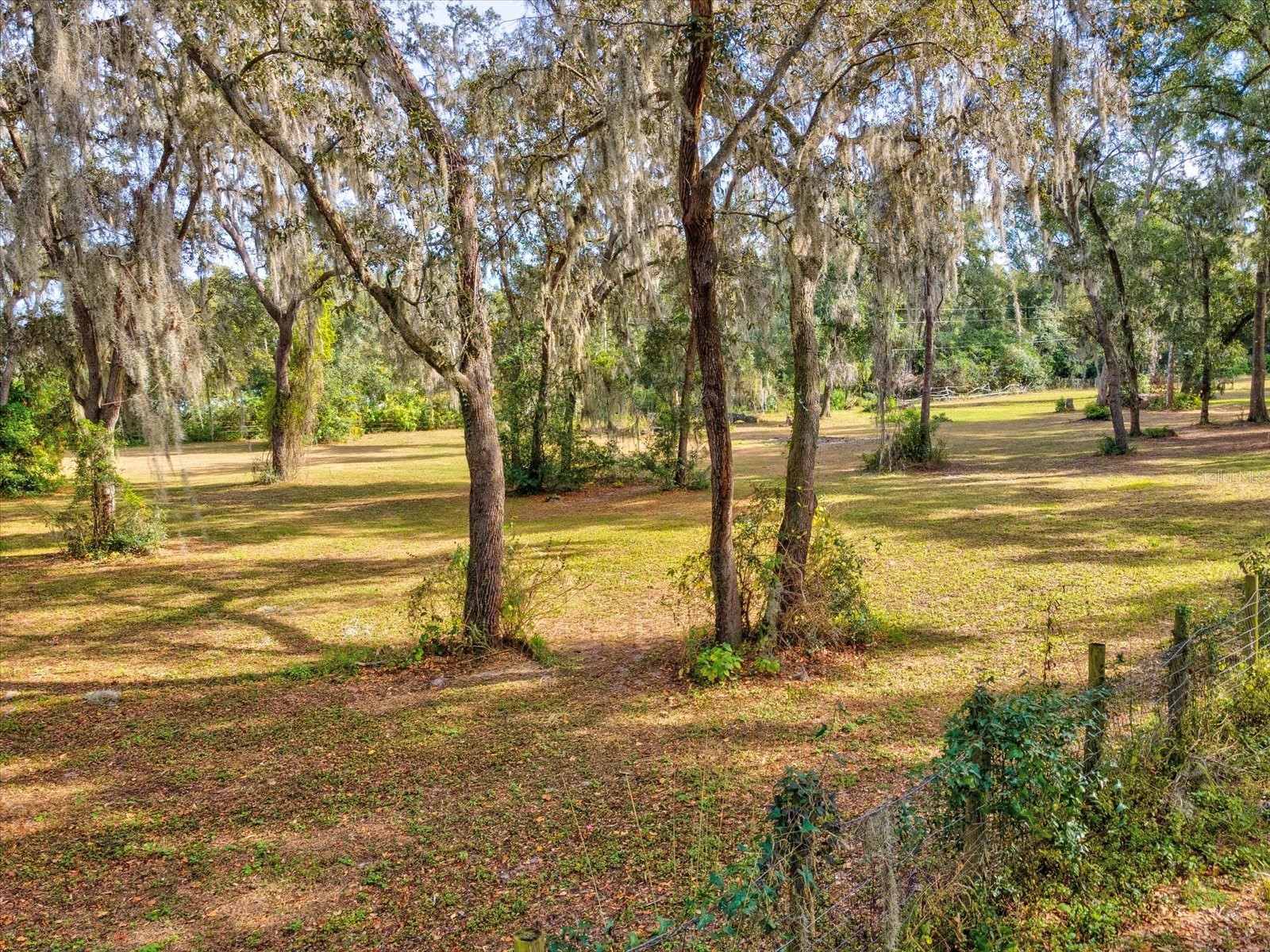 36228 Clinton Avenue Dade City FL 33525 TB8468434 image45
