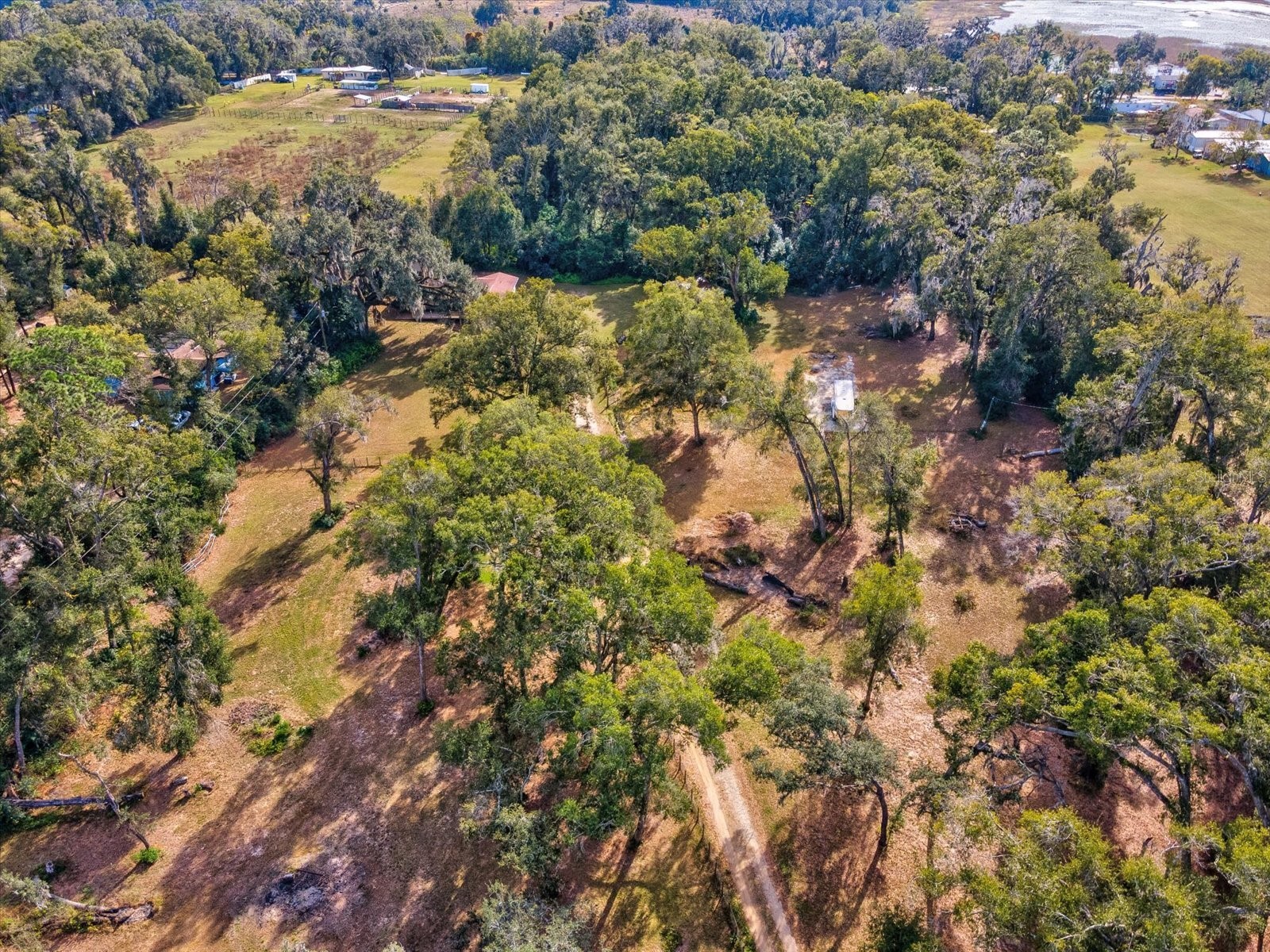 36228 Clinton Avenue Dade City FL 33525 TB8468434 image56