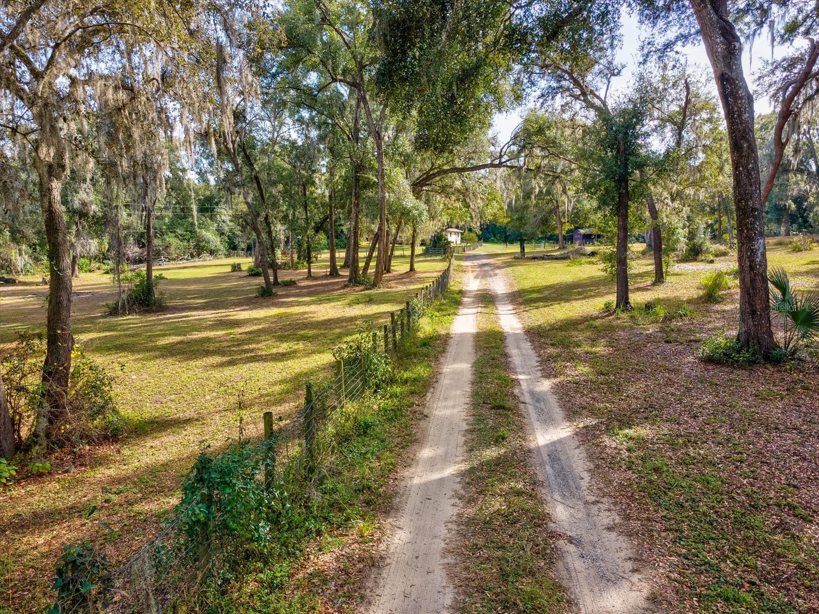 36228 Clinton Avenue Dade City FL 33525 TB8468434 image59