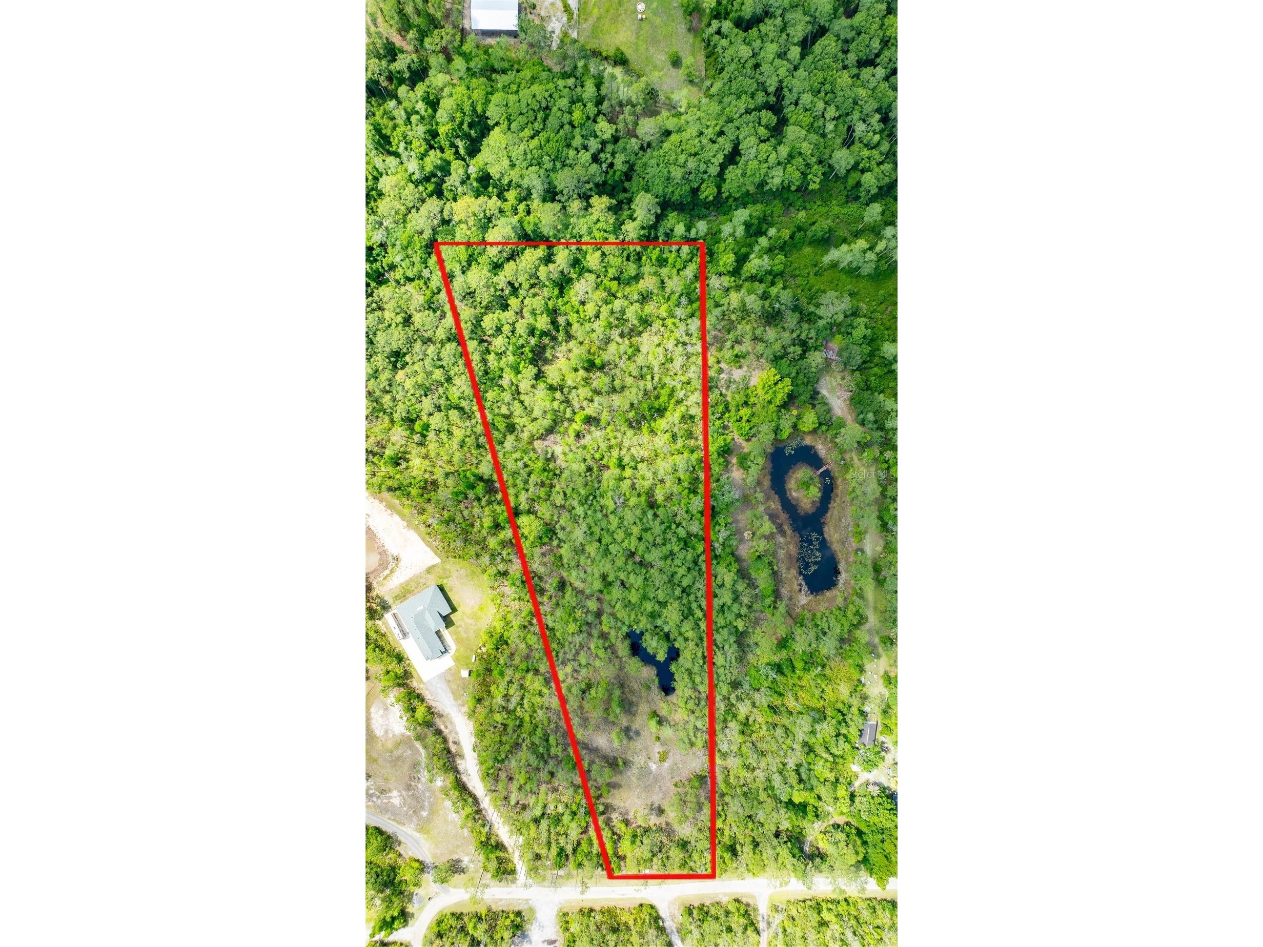 3623 Conifer Lane Ormond Beach FL 32174 OM724348 image3