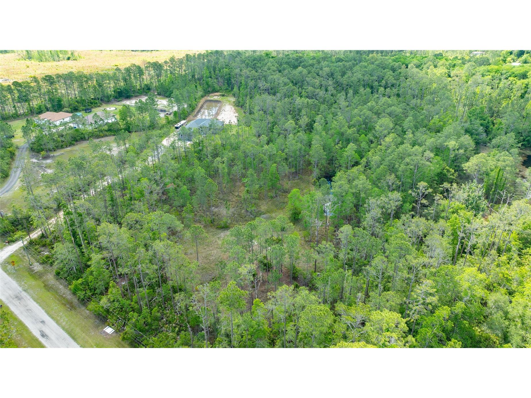 3623 Conifer Lane Ormond Beach FL 32174 OM724348 image8