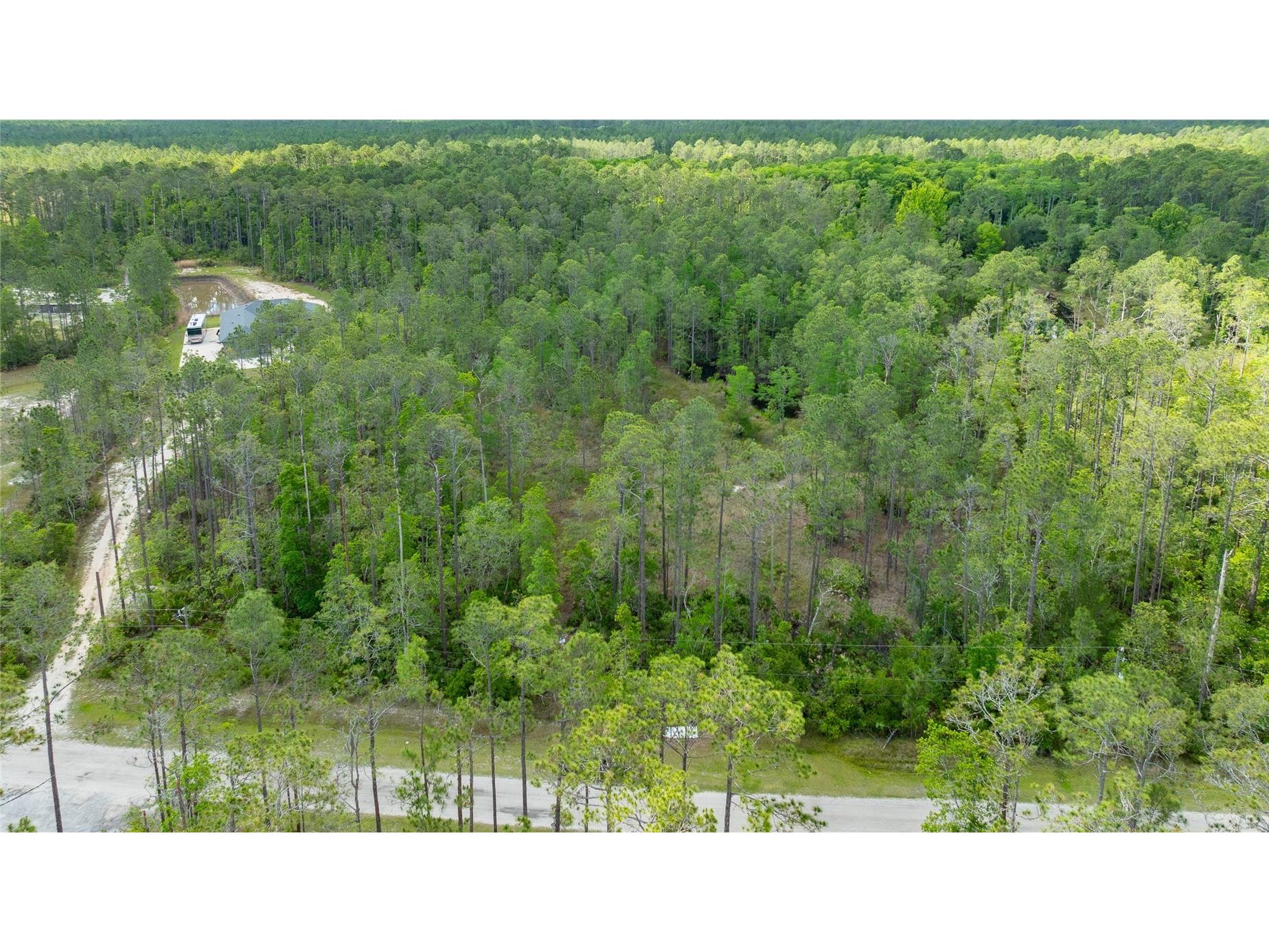 3623 Conifer Lane Ormond Beach FL 32174 OM724348 image9