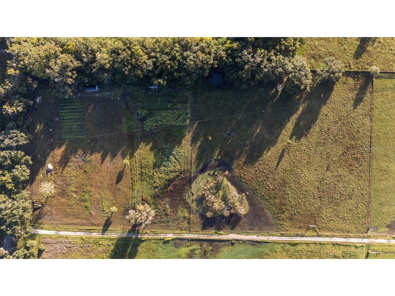 3623 Cr 526 Sumterville FL 33585 G5103837 image29