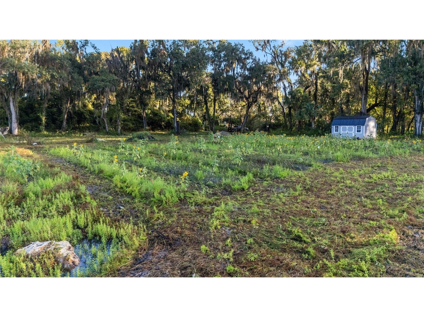 3623 Cr 526 Sumterville FL 33585 G5103837 image31