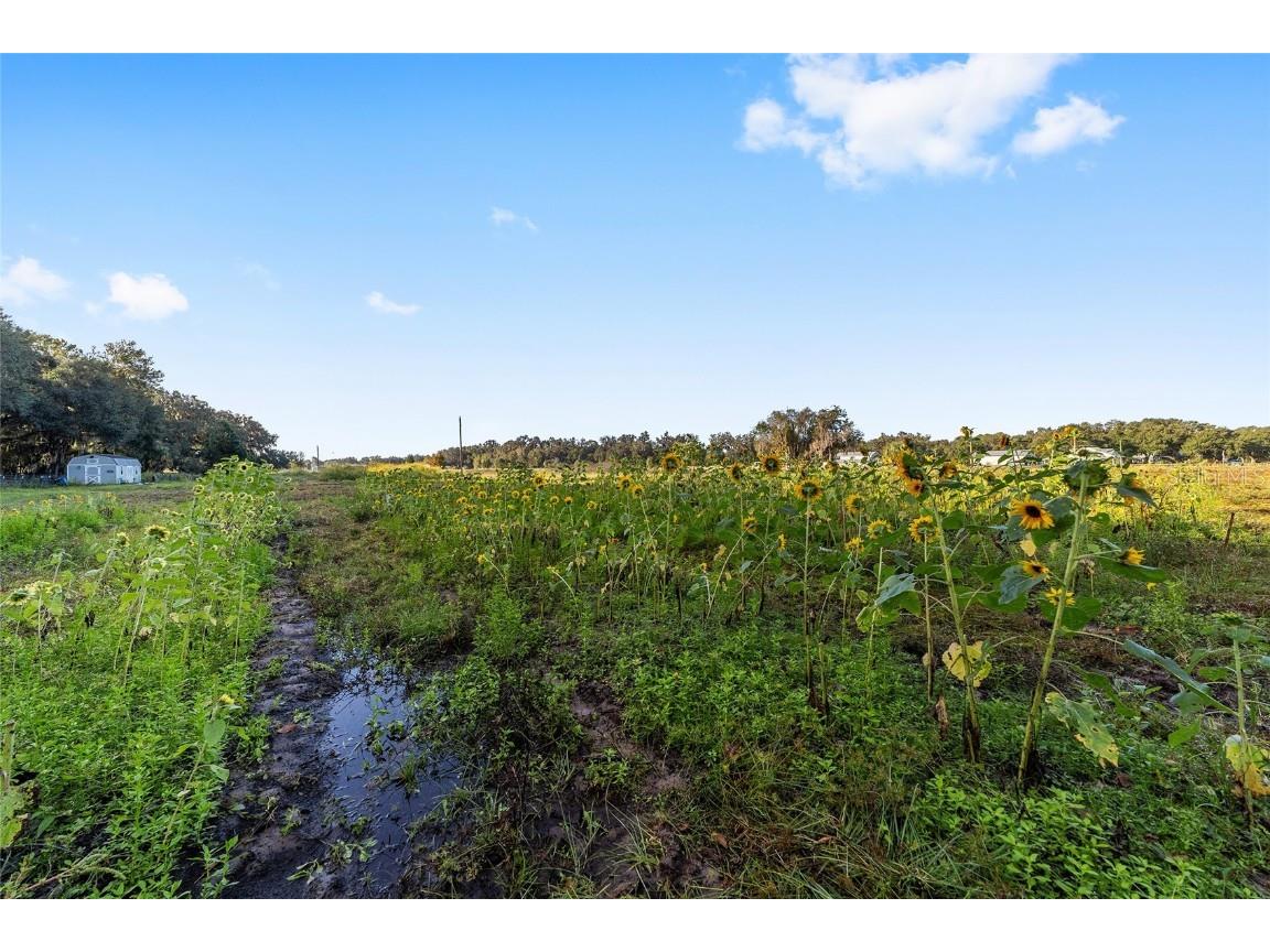 3623 Cr 526 Sumterville FL 33585 G5103837 image5