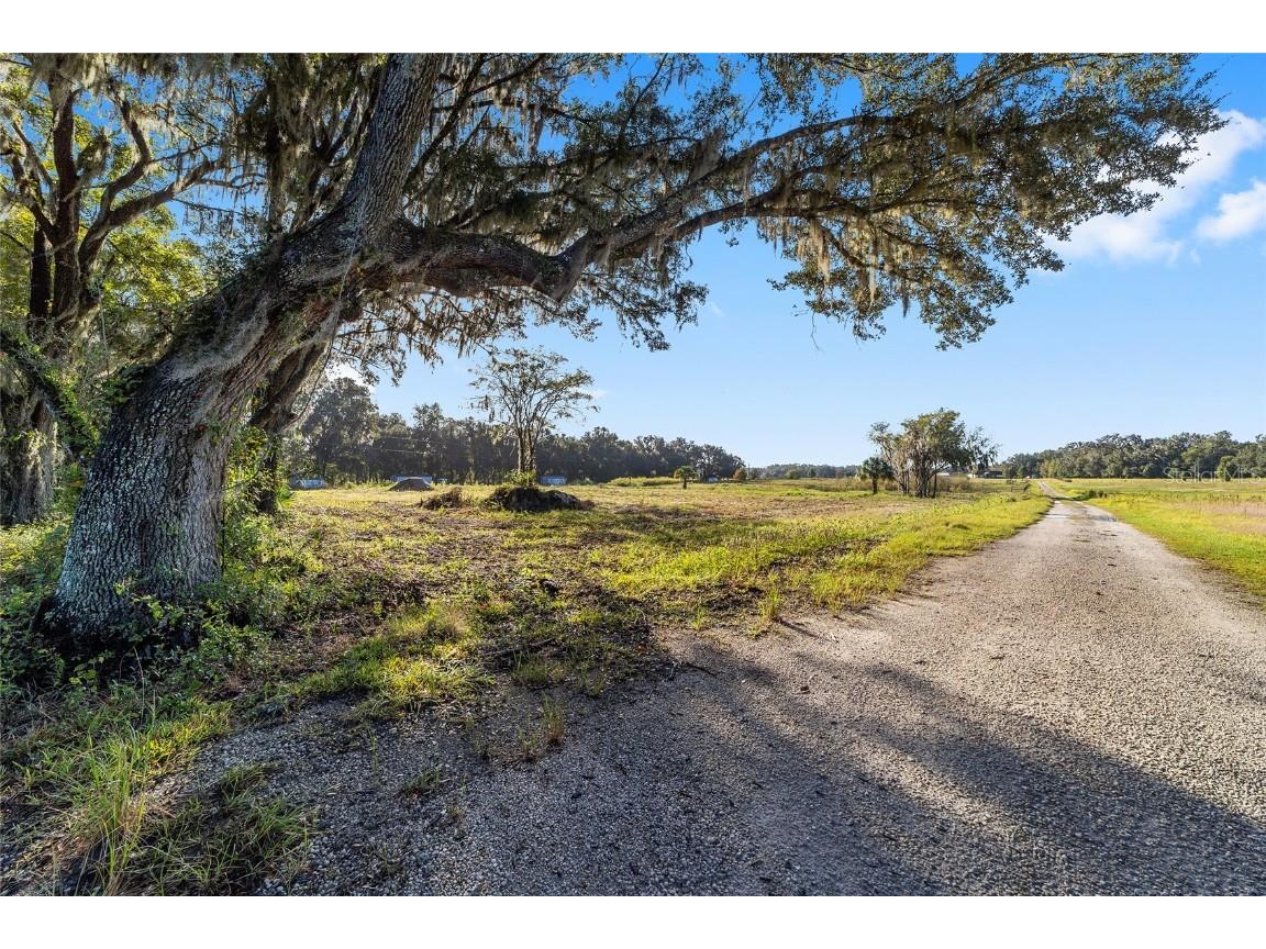 3623 Cr 526 Sumterville FL 33585 G5103837 image8