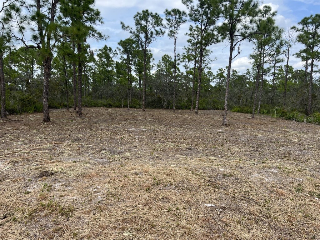 3623 Forrest Point Avenue Lake Placid FL 33852 T3487259 image1