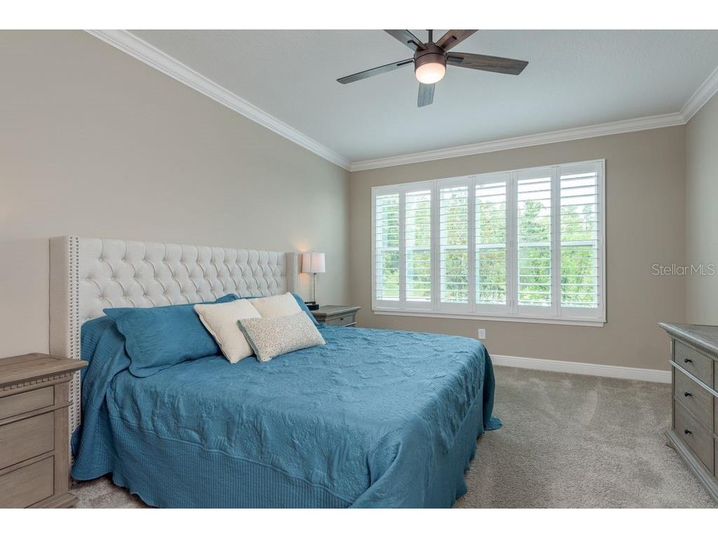 3623 Lajuana Boulevard Wesley Chapel FL 33543 TB8412664 image11