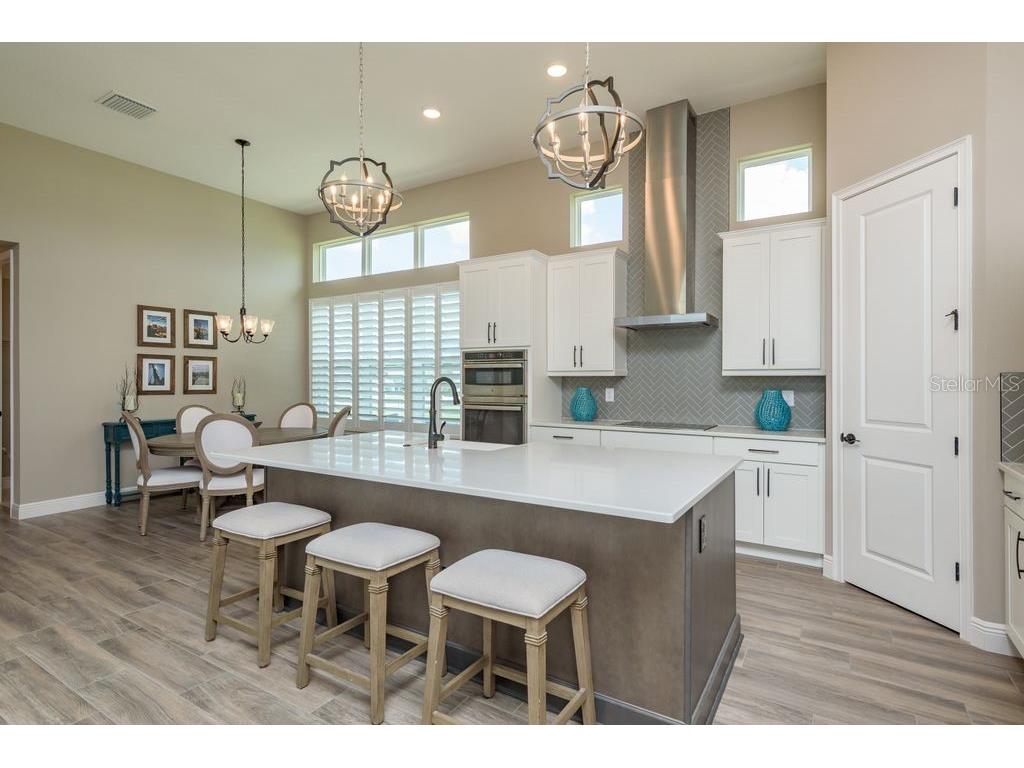 3623 Lajuana Boulevard Wesley Chapel FL 33543 TB8412664 image19