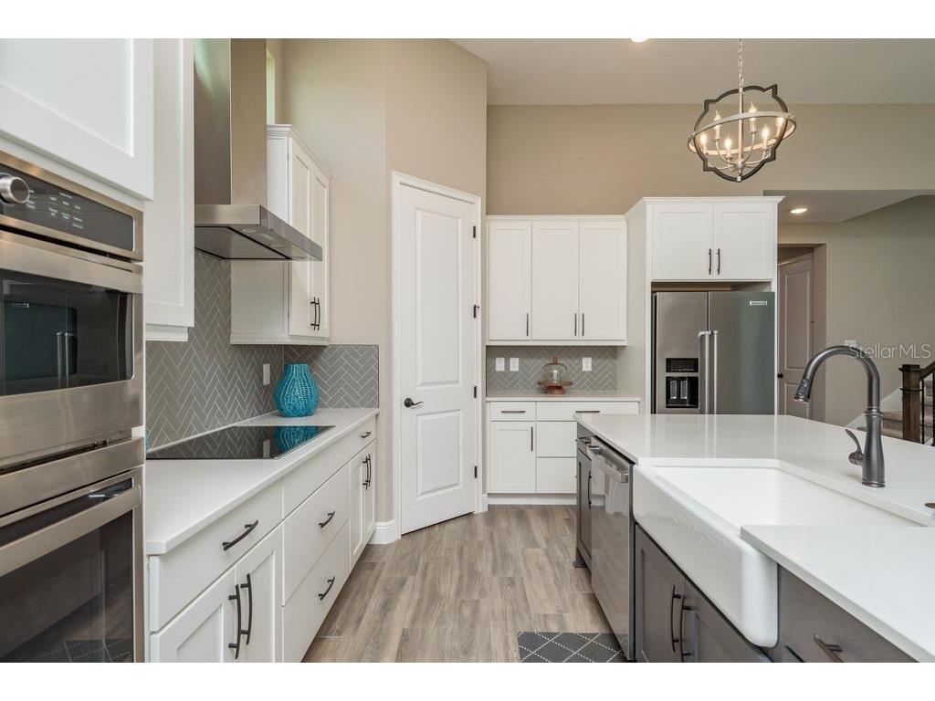 3623 Lajuana Boulevard Wesley Chapel FL 33543 TB8412664 image21