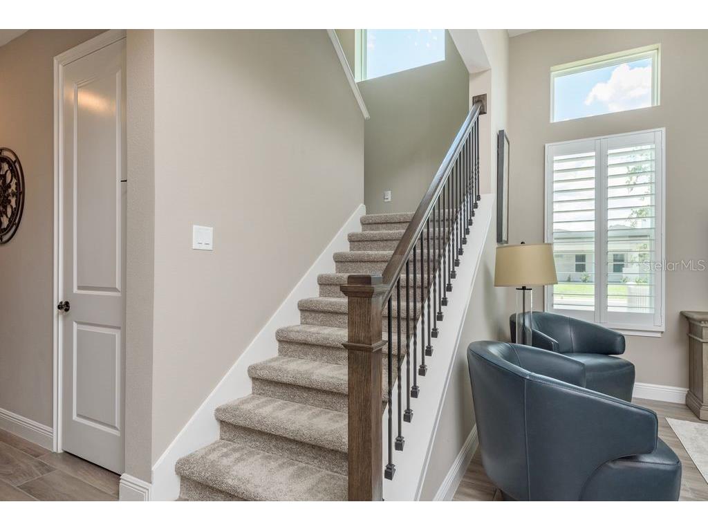 3623 Lajuana Boulevard Wesley Chapel FL 33543 TB8412664 image27