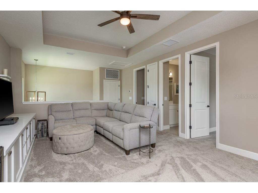 3623 Lajuana Boulevard Wesley Chapel FL 33543 TB8412664 image37