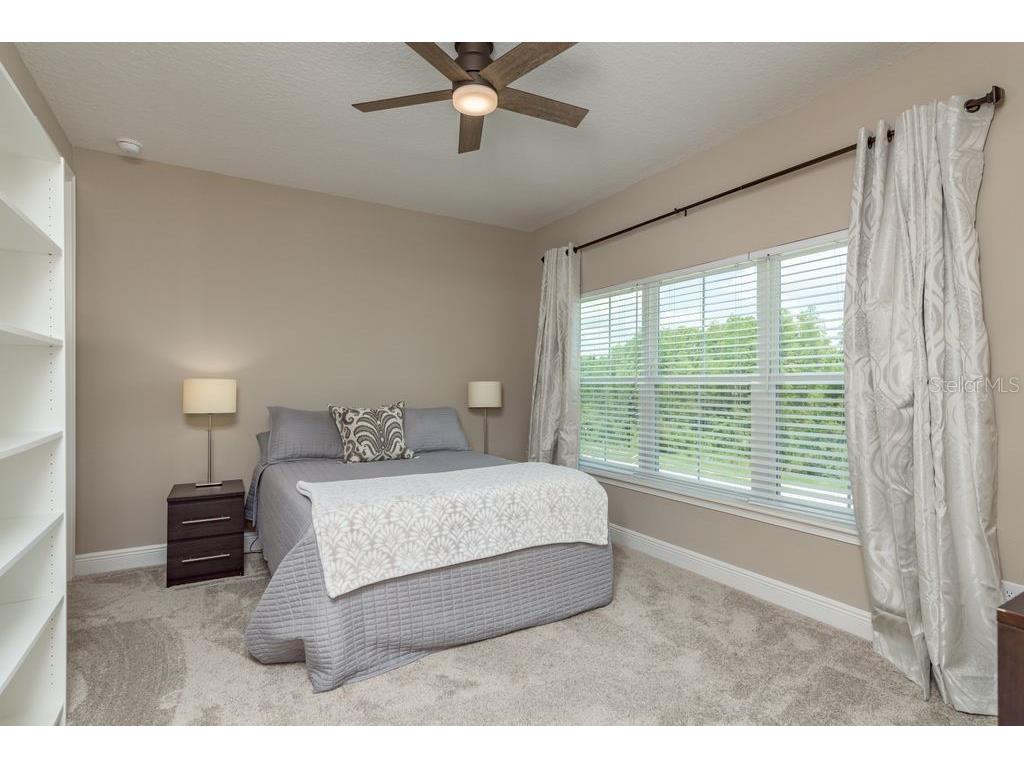 3623 Lajuana Boulevard Wesley Chapel FL 33543 TB8412664 image38