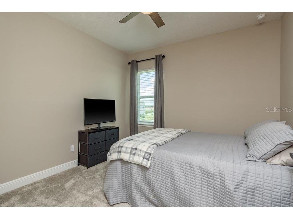 3623 Lajuana Boulevard Wesley Chapel FL 33543 TB8412664 image41