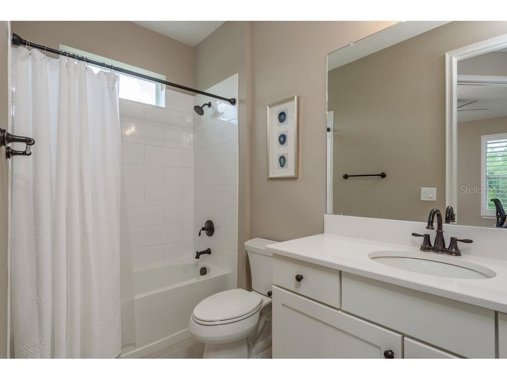 3623 Lajuana Boulevard Wesley Chapel FL 33543 TB8412664 image9