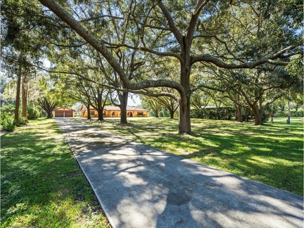 3624 Berger Road Lutz FL 33548 T3481166 image1