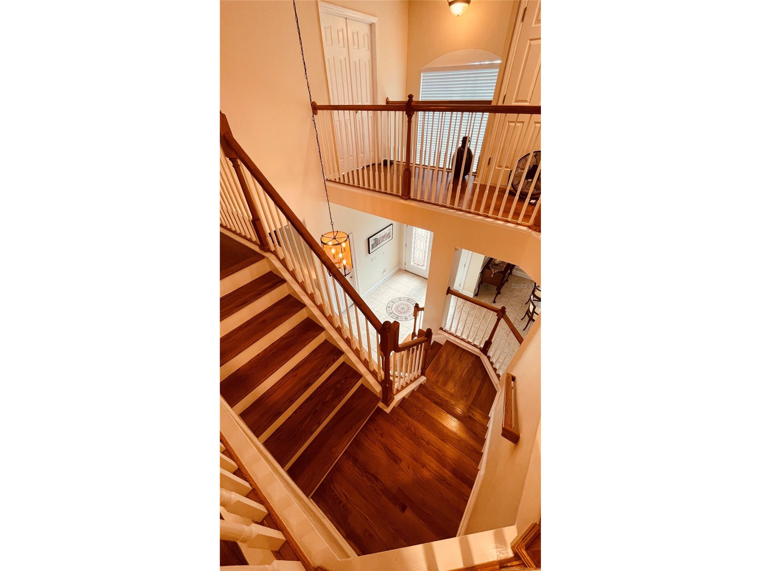 3624 Duke Firth Street Land O Lakes FL 34638 O6398094 image10