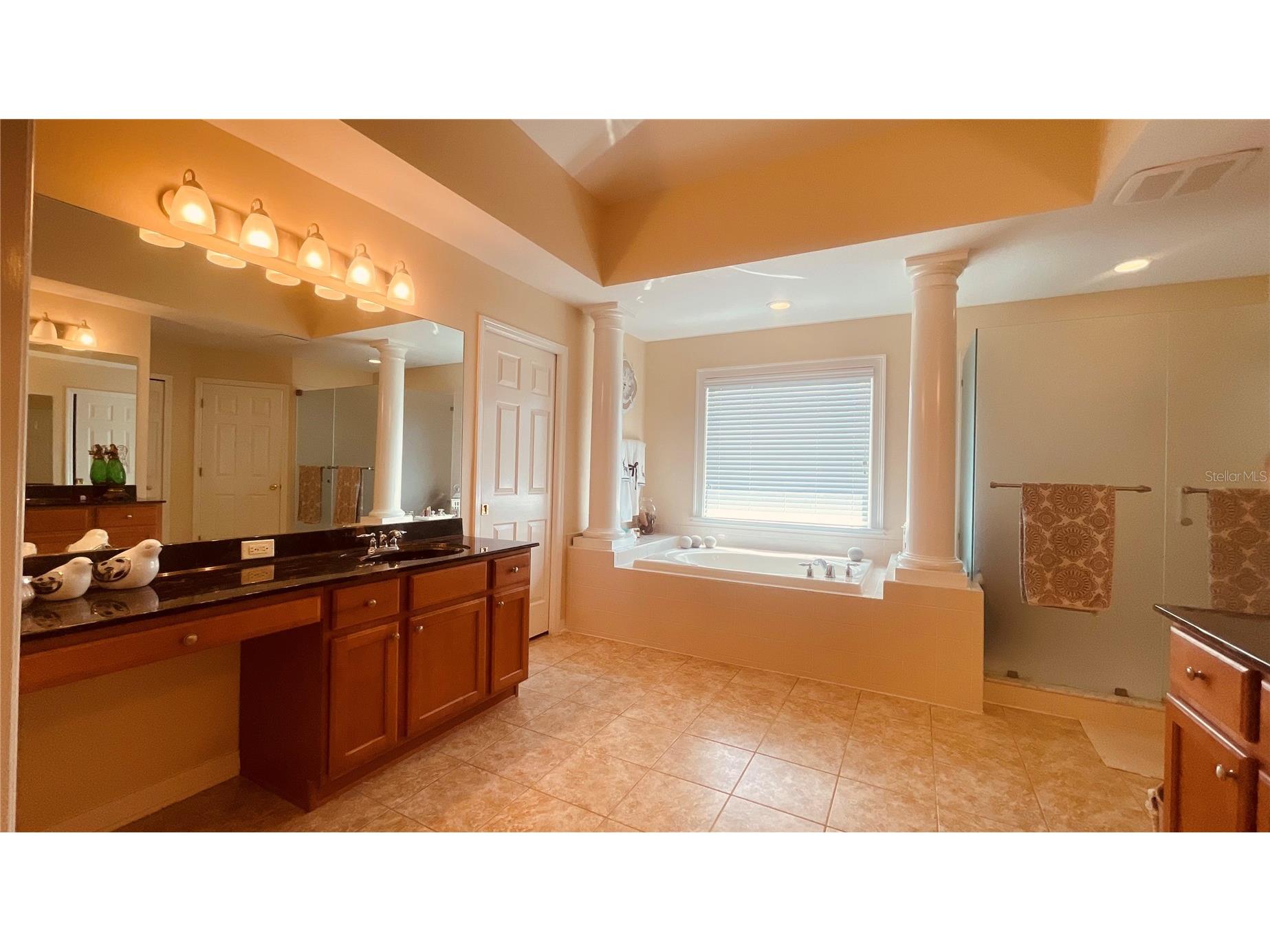 3624 Duke Firth Street Land O Lakes FL 34638 O6398094 image19