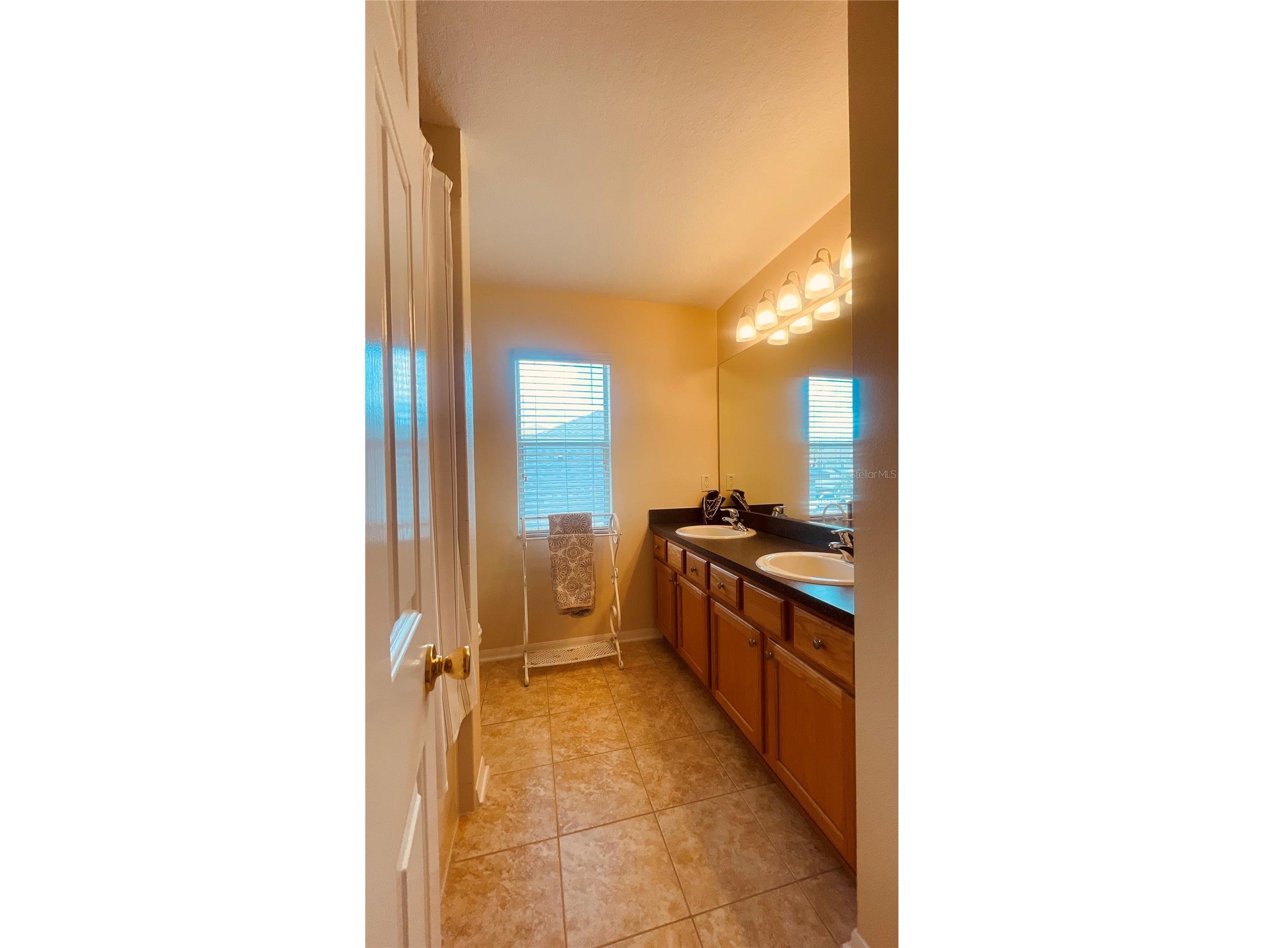 3624 Duke Firth Street Land O Lakes FL 34638 O6398094 image22