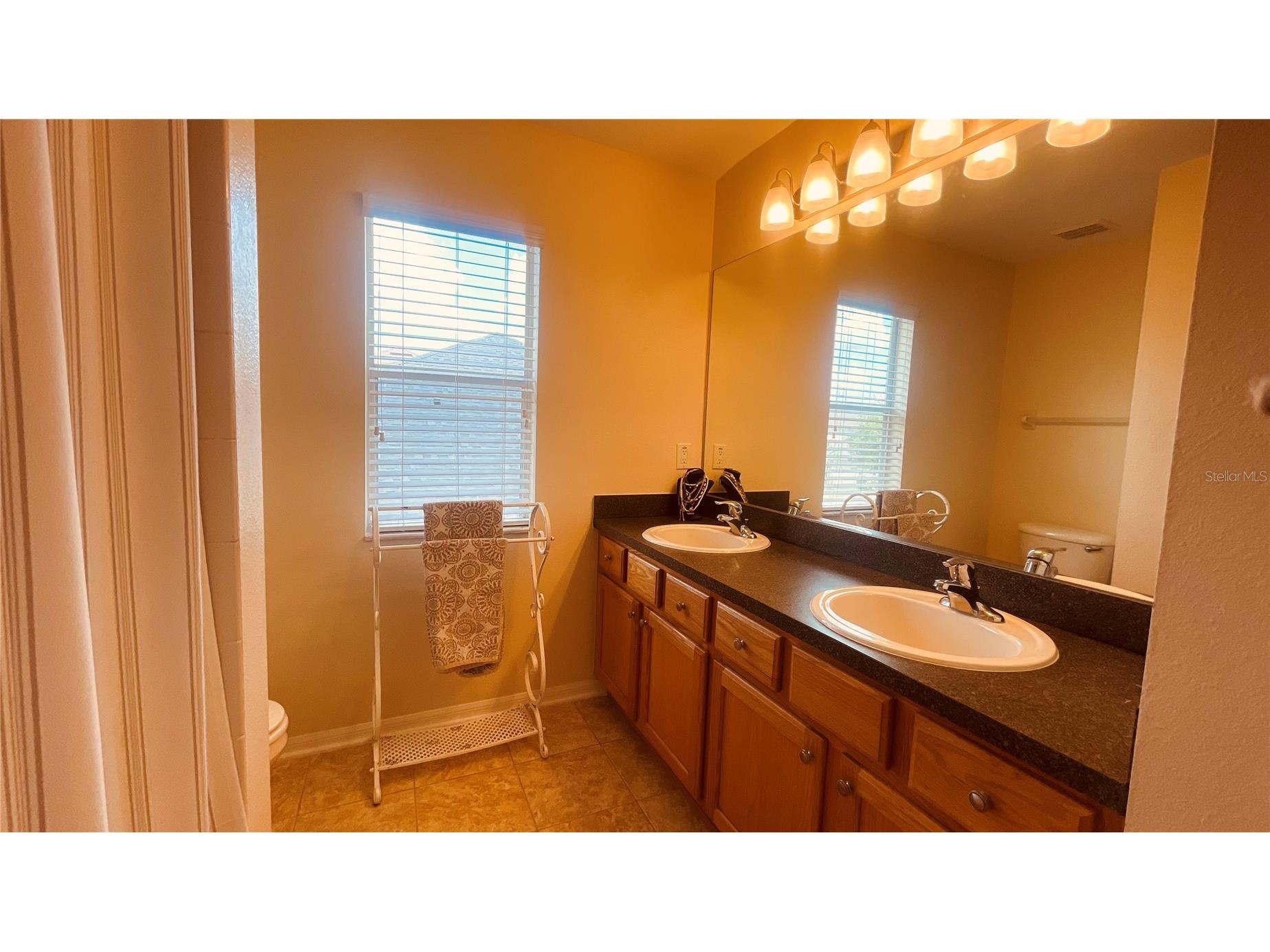 3624 Duke Firth Street Land O Lakes FL 34638 O6398094 image23