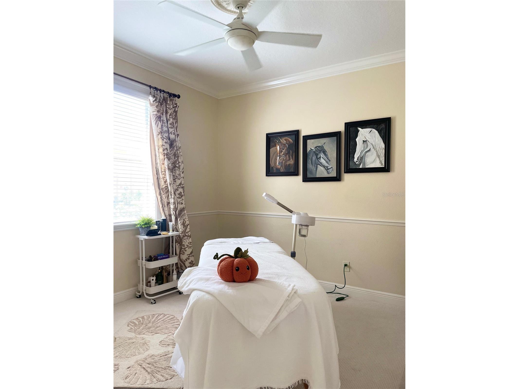 3624 Duke Firth Street Land O Lakes FL 34638 O6398094 image28