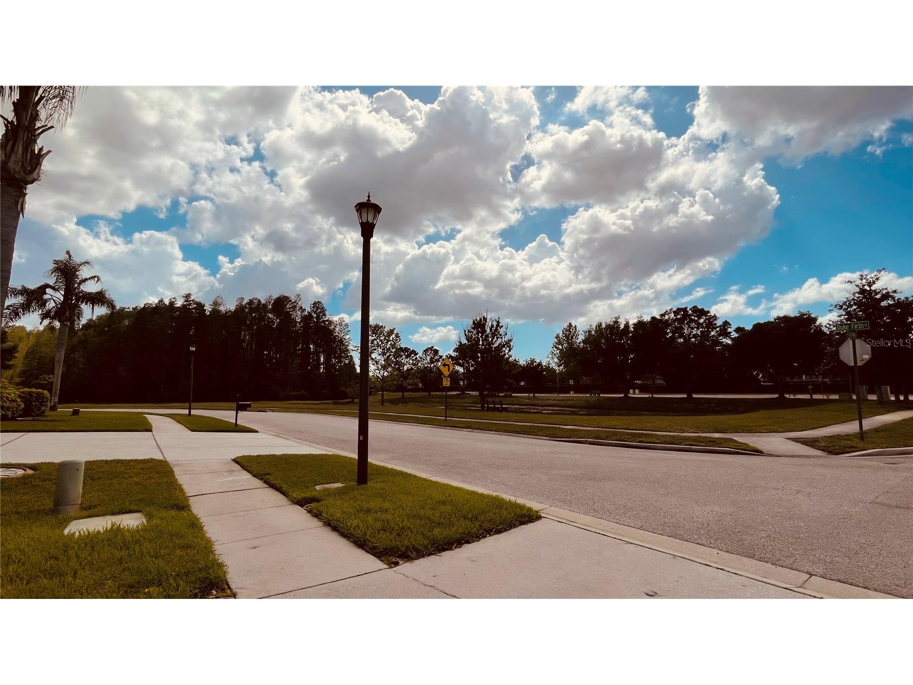 3624 Duke Firth Street Land O Lakes FL 34638 O6398094 image41
