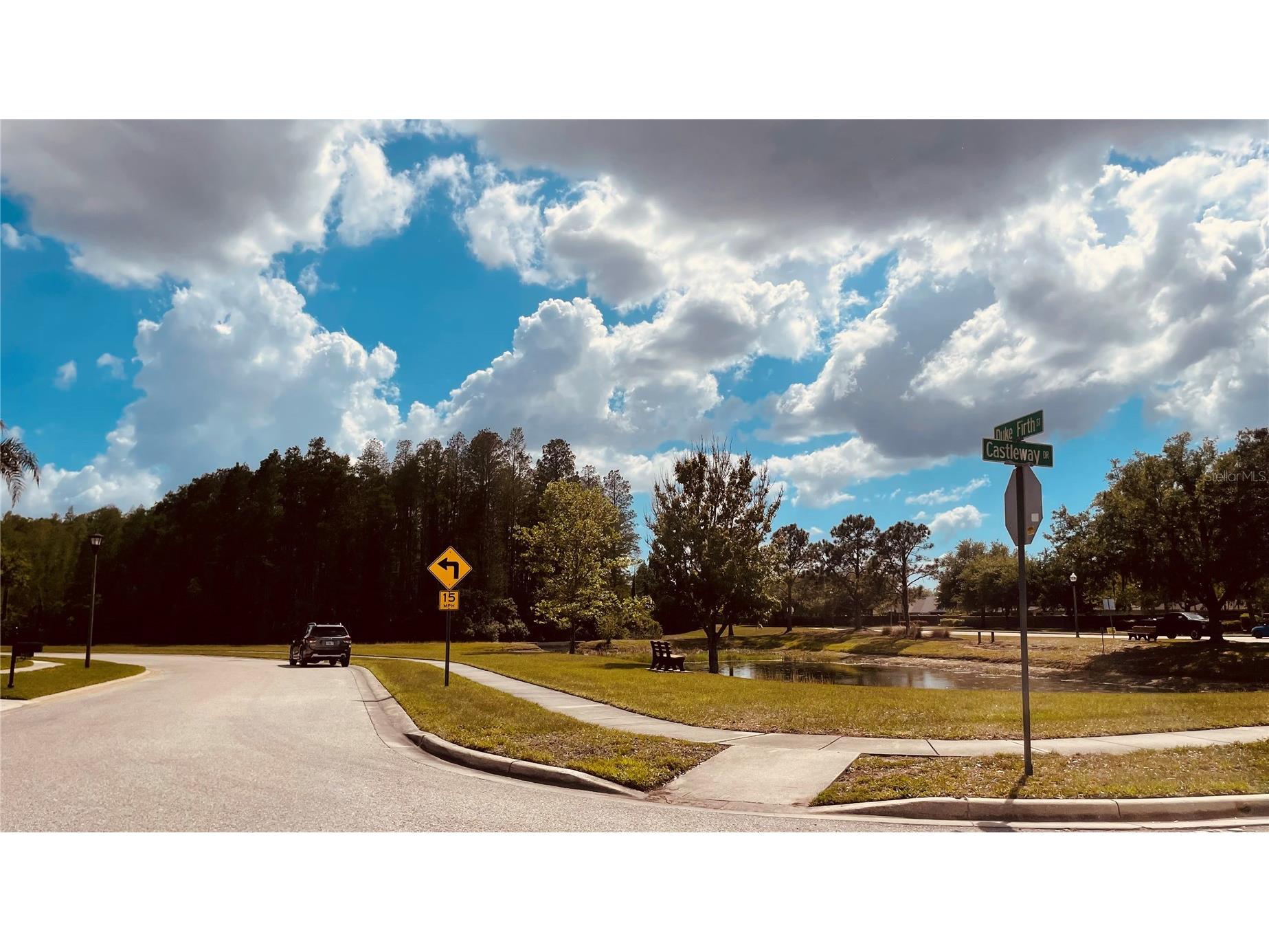 3624 Duke Firth Street Land O Lakes FL 34638 O6398094 image42