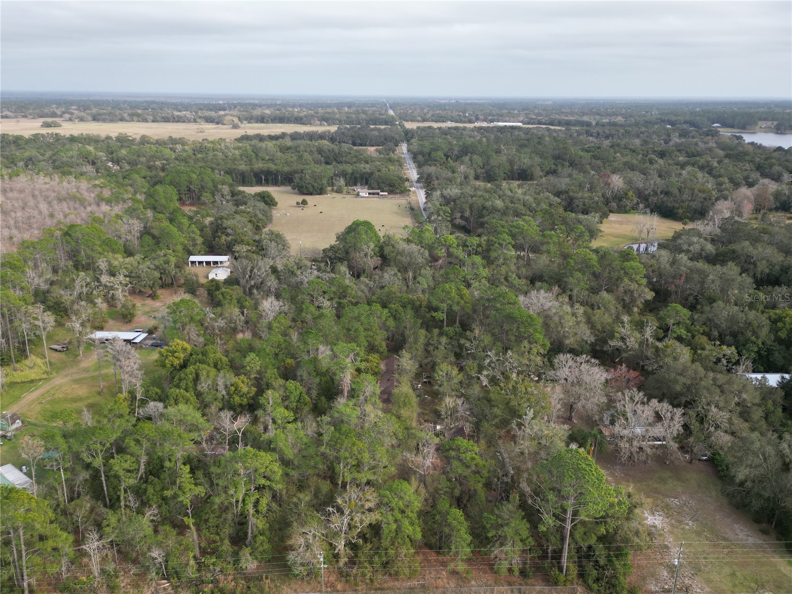36242 County Road 439 Eustis FL 32736 G5106691 image1