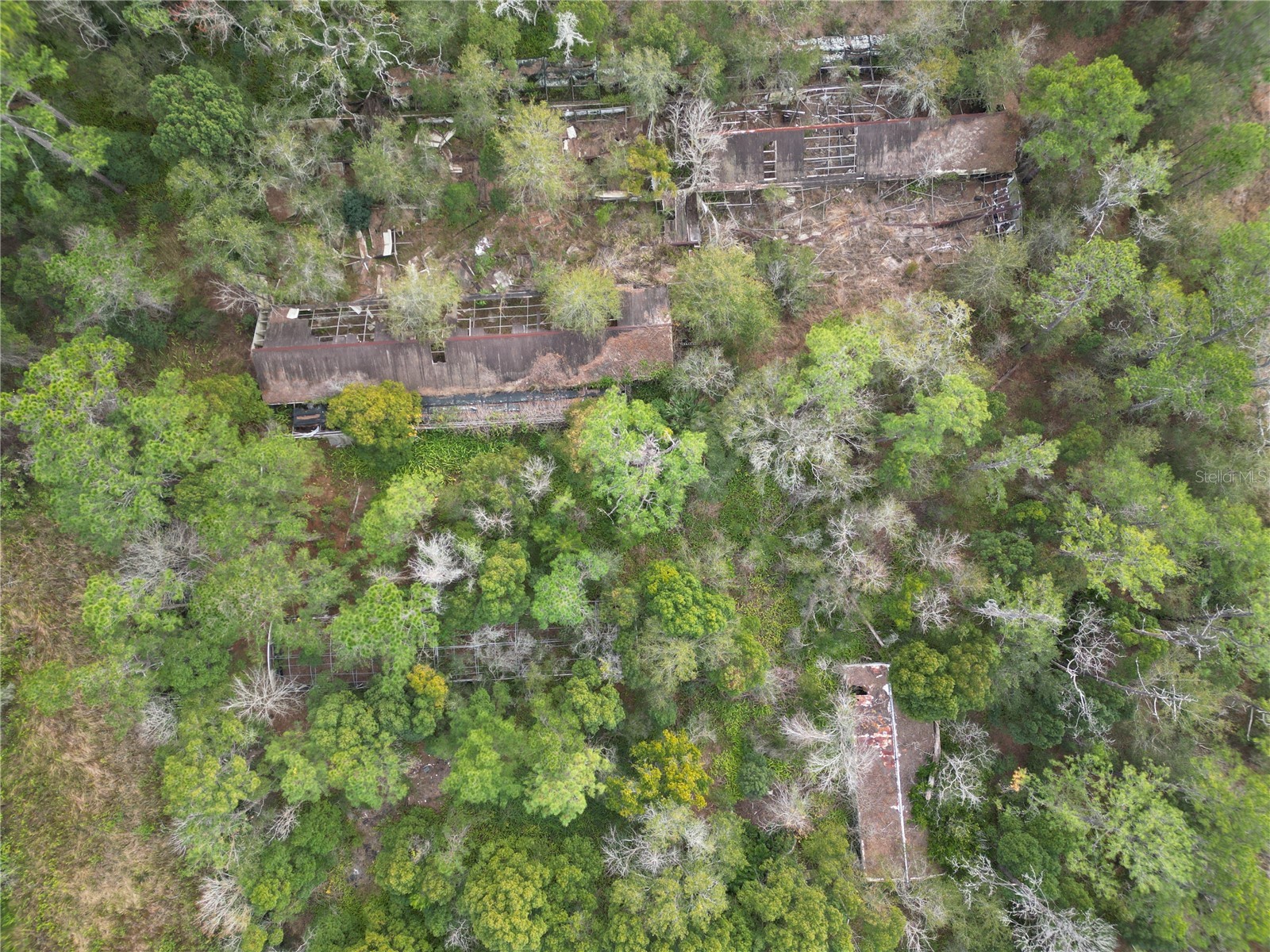 36242 County Road 439 Eustis FL 32736 G5106691 image2