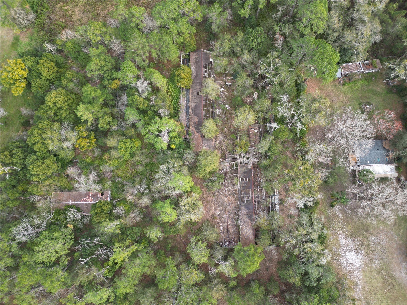 36242 County Road 439 Eustis FL 32736 G5106691 image3